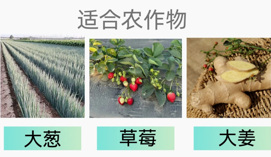 農(nóng)用筑埂機(jī) 